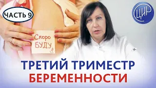 Третий триместр. Особенности течения и ведение беременности во время третьего триместра.