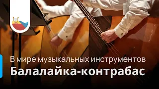 В мире музыкальных инструментов - Балалайка-контрабас