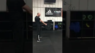 1 Arm Plate Swing