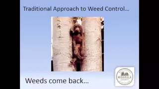 Noxious Weed Control in Forests - session 1