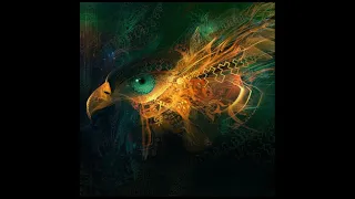 432hz - "Eagle Vision" - Psychill Psybient Psydub