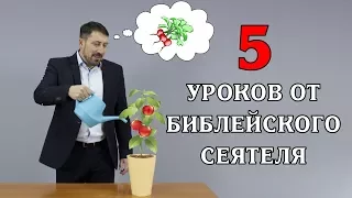 Пять уроков от библейского сеятеля