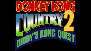 Flight of the Zinger - Donkey Kong Country 2: Diddy's Kong Quest (SNES) Music Extended