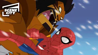 Spider-Man vs Kraven the Hunter | The Spectacular Spider-Man (2008)