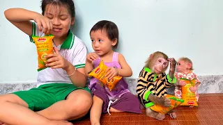 Monkey Kaka and family eat bread in the morning and look very happy