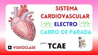 SISTEMA CARDIOVASCULAR ❤️ + ELECTROCARDIOGRAMA 〰 + CARRO DE PARADA📗 para TCAE