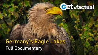 The Eagle Lakes - Full Nature Documentary - German Wildlife