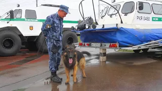 Показательное выступление кинологической службы ГУФСИН