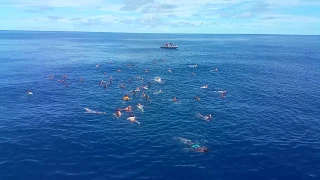 Jumping Overboard near Mariana Trench!  SWIM CALL
