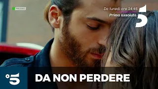 Daydreamer - Le ali del sogno - Da lunedì 17 agosto alle14.45 su Canale 5