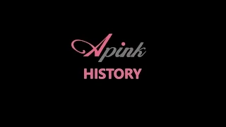 Apink 에이핑크 - The History (know more about them)