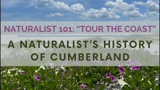 Naturalist 101: A Naturalist's History of Cumberland Island