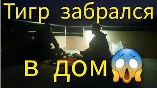 14. В ДЕРЕВНЕ ТИГР! ЧАНДРА С МУЖЕМ. ДОРОГА В ПОСЁЛОК   #непал #Гималаи #путешествия #nepal #Himalaya