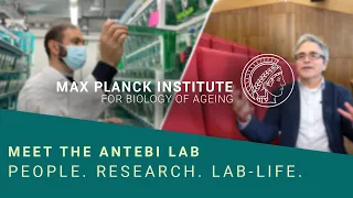 Meet the Antebi Lab: People. Research. Lab Life.