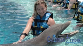 Dolphin Adventure | Punta Cana Tours