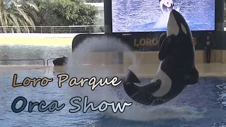 Orca Show - Loro Parque Teneriffa 2016   - AX33 4k