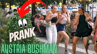 Bushman Prank 2022 Part 2 - Amstetten (Einkaufsnacht) - Best Reactions