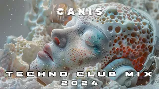 TECHNO CLUB MIX 2024 | HEERHORST | ROMAN ADAM | GOTEKO | SEICKER | BOATECH | KROMI | CANIS MIXTAPE