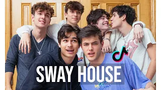 Sway House Ultimate TikTok Compilation 2020  | Viral Tik Tok Compilation 2020