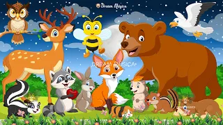 Animal sounds around us: Rabbit, Bear, Bee, Deer, Dog, Bird - Animal videos