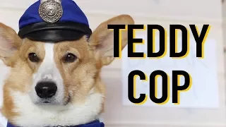 TEDDY THIEVES - Topi the Corgi