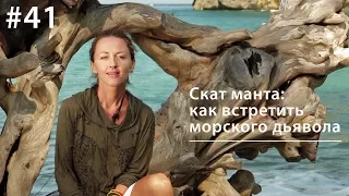 Скат манта: как встретить морского дьявола // Всё как у зверей #41