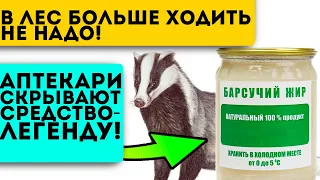 Незаслуженно забыт! Лечит простуду, бронхит, творит чудеса с суставами…Барсучий жир