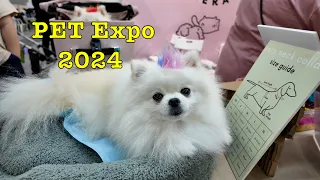 PET Expo 2024 Walkthrough (4K)🐶 #singapore #expo #fair #pets #dogs #cats #cute #lovely #walking tour