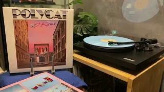 Polycat - 80 Kisses [Longplay/Side A] (Vinyl Rip)