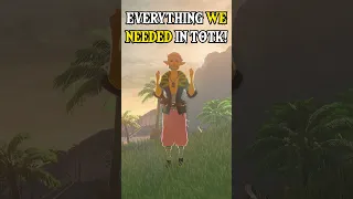Everything WE NEEDED in Zelda TOTK! 😄