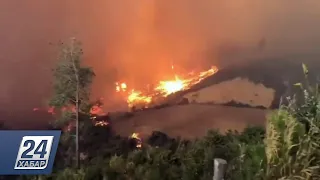 14 тыс. человек борются с лесными пожарами в Калифорнии