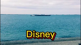 Disney (премьера песни 2024