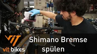 Shimano Bremse entlüften Teil 1 - Spülen - vit:bikesTV 193