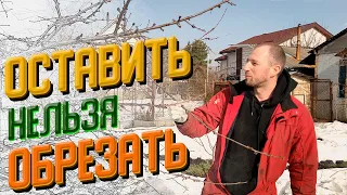 Для тех, кто БОИТСЯ обрезать деревья ПОСВЯЩАЕТСЯ!!!