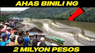 AHAS BINILI NG 2 MILYON PESOS | 10 PINAKAMAHAL NA AHAS SA BUONG  MUNDO