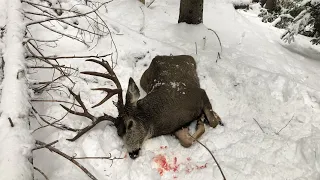 Solo Mule Deer Hunt / GoPro - Stuck N the Rut 149