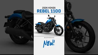 2024 Honda Rebel 1100 Unleashed! 🔥