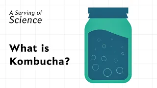 What is Kombucha?