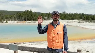 Yellowstone Volcano Observatory Monthly Update: July 1, 2020