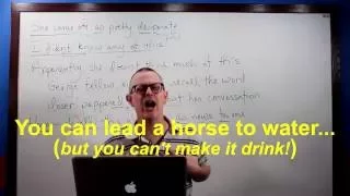 Learn English: Daily Easy English 1002: You can lead a horse to water…