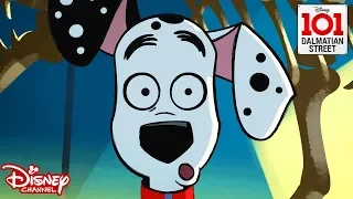 Jurassic Pups | 101 Dalmatian Street | Disney Arabia