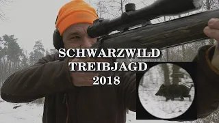 Schwarzwild Treibjagd in Ungarn 2018 - Trailer