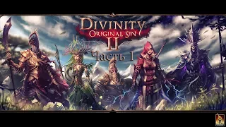 Divinity Original Sin 2 Часть 1