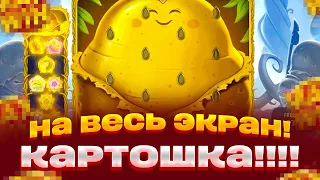 КАРТОШКА НА ВЕСЬ ЭКРАН! ИГРАЕМ В ROYAL POTATO 2 ЗАНОСЫ НЕДЕЛИ НА 150 000