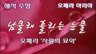 남몰래 흘리는 눈물 [오페라 아리아 가사/한국어해석/자막] 사랑의 묘약 Donizetti Opera  L'Elisir d'Amore, una furtiva lagrima