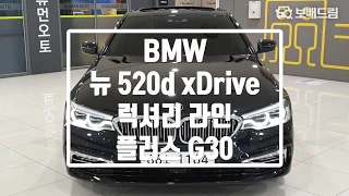 2018 BMW 뉴 520d xDrive 럭셔리 라인 플러스 G30