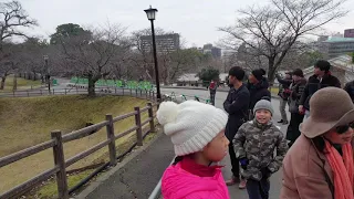 Kumamoto Castle