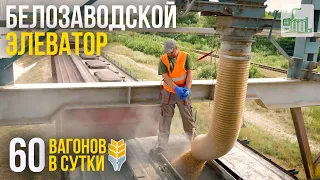 Белозаводской элеватор: 60 вагонов за сутки | Элеваторы Украины