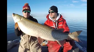 Giant late fall Ontario Muskies - HAM & EGGS - Sloblandflicks Sloblandcharters