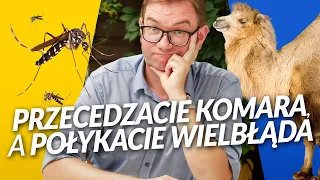 Przecedzacie komara, a połykacie wielbłąda #jatowidzęinaczej